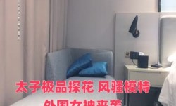 太子极品探花 风骚模特外围女神来袭