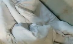 hongdou882-1217580308645564423-20200116_065221-vid1