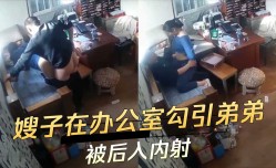 家庭乱luan伦-嫂子MissAV-18 Video在办公室勾引弟弟
