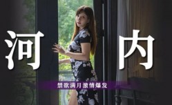 河内 禁jin欲满月激ji情爆发