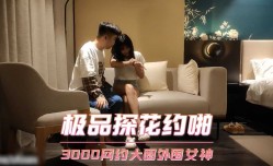 极品探花约啪 3000网约大圈外围女神