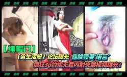 露脸骚妻约炮无套内射2