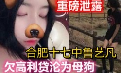 重磅，安徽合肥十七中鲁艺凡，欠下高利贷沦为母狗
