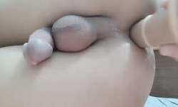 伪娘求艹求污辱