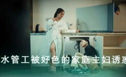 骚穴止水 水管工被好色的家庭主妇诱惑
