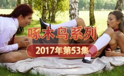 高潮痙攣抽搐不停求饒 啄木鸟17年系列-第𝕄𝕚𝕤𝕤𝔸𝕍-🔞官网53集